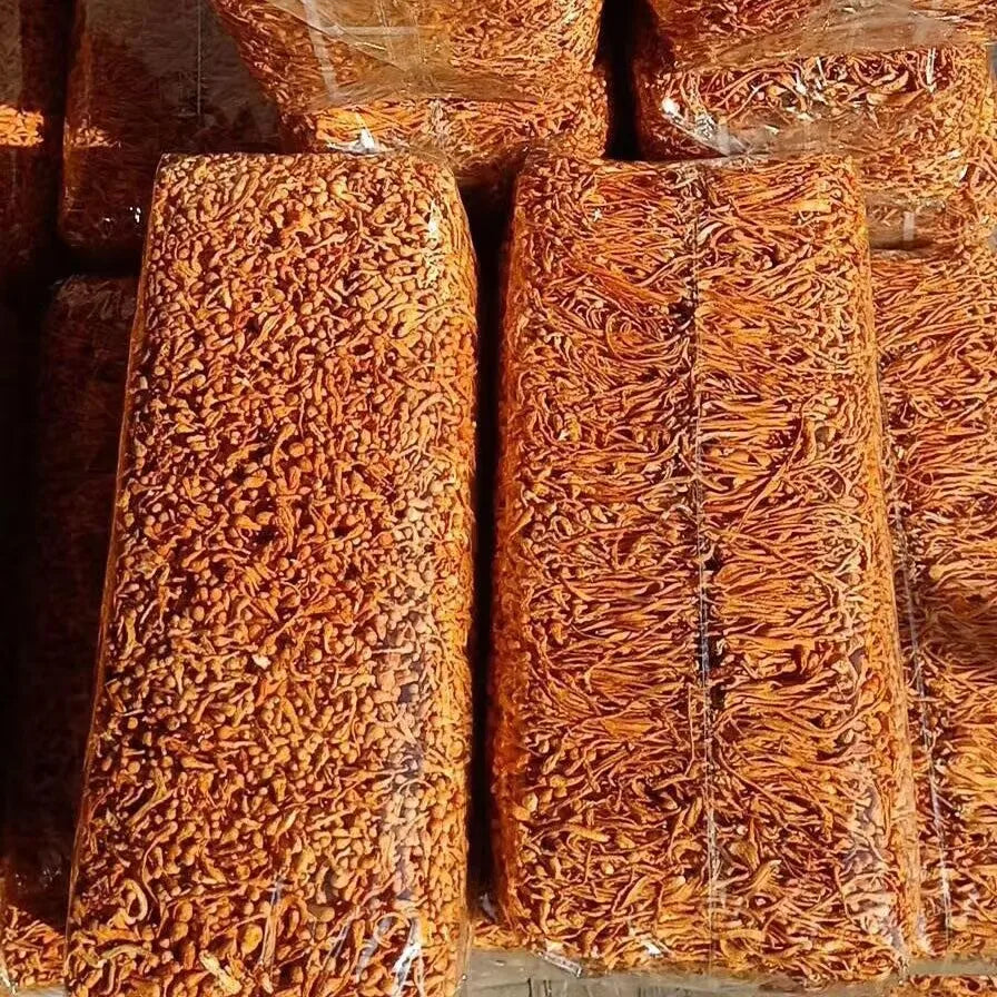 Dried Cordyceps Flowers - Natural Dried Herb for Crafts, Decor, Aromatic Uses | Premium Quality, Vibrant & Fragrant