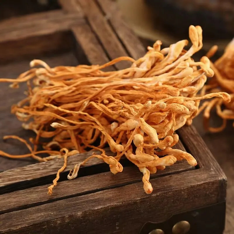 Dried Cordyceps Flowers - Natural Dried Herb for Crafts, Decor, Aromatic Uses | Premium Quality, Vibrant & Fragrant